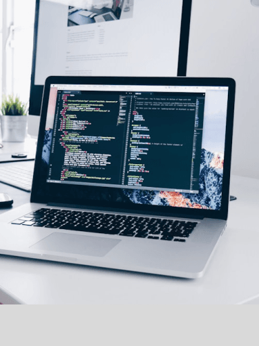 Website Development